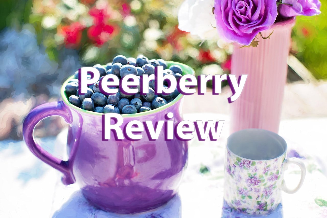 peerberry review
